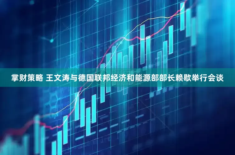 掌财策略 王文涛与德国联邦经济和能源部部长赖歇举行会谈